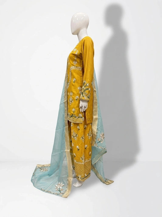 3 Piece - Pure Raw silk suit with Ari work  - 0017